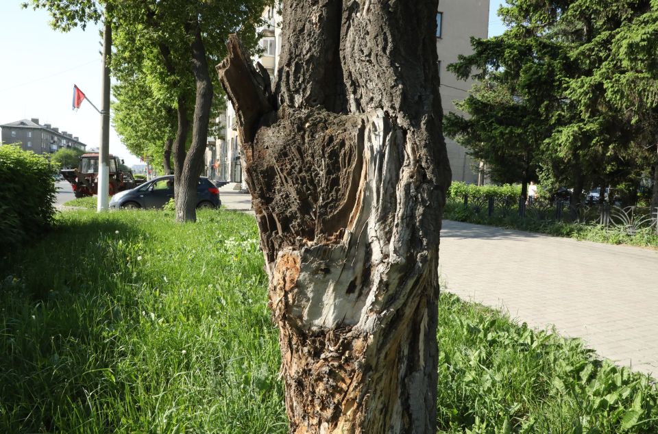 Безопасность и обновление Безопасность и обновление