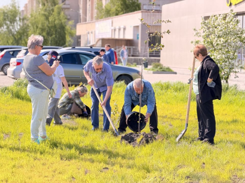 В городах Челябинской области борются с пылью с помощью тополей и мойки дорог В городах Челябинской области борются с пылью с помощью тополей и мойки дорог