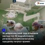 ���������� ����������� ������� �������� ������������ � ����������� 50 ������ ������ ������������� �������