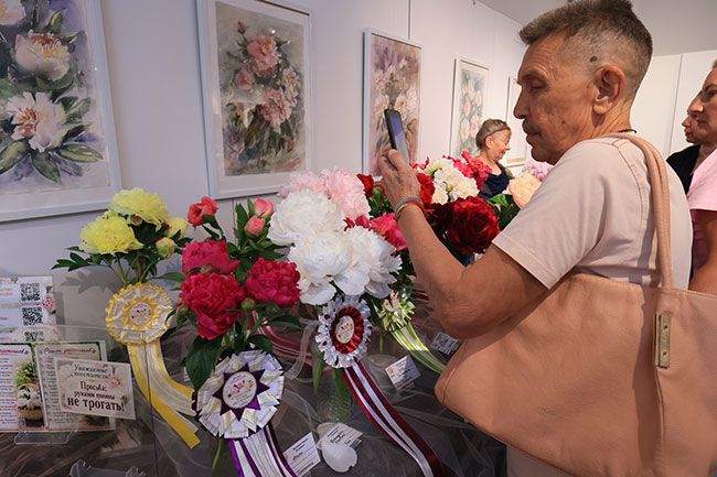 Целебные цветы. На Южном Урале растут сотни сортов пионов Целебные цветы. На Южном Урале растут сотни сортов пионов
