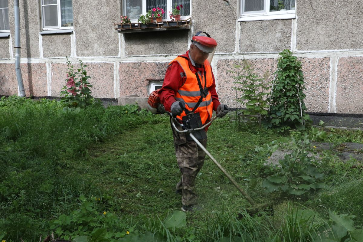 Чтобы во дворах было красиво Чтобы во дворах было красиво