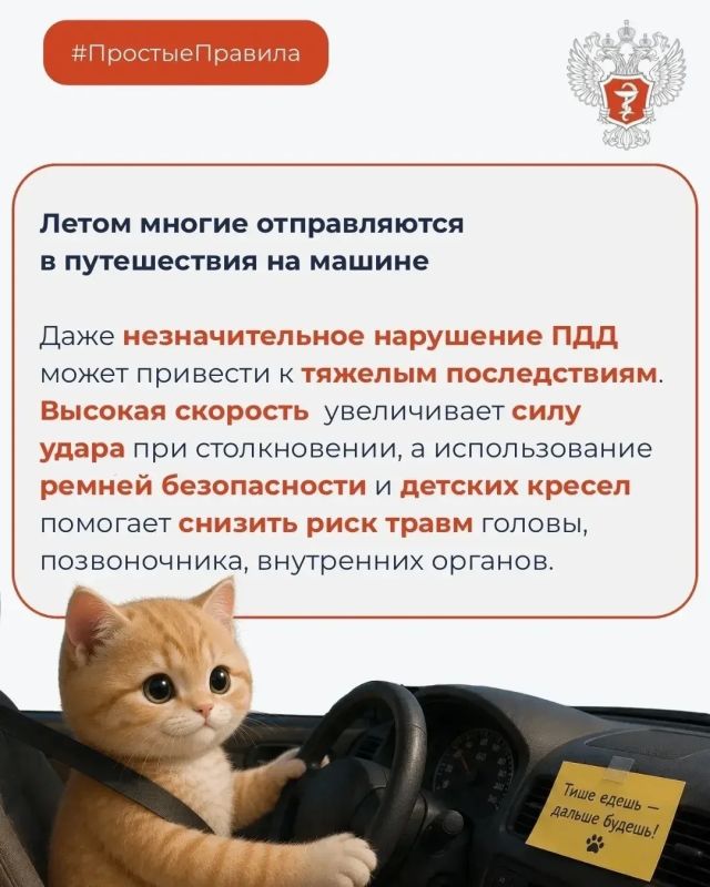 Лето, отпуск, каникулы — время для путешествий и отличного настроения! Лето, отпуск, каникулы — время для путешествий и отличного настроения!