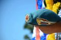 "Уважаемые ветераны и военнослужащие Воздушно-десантных