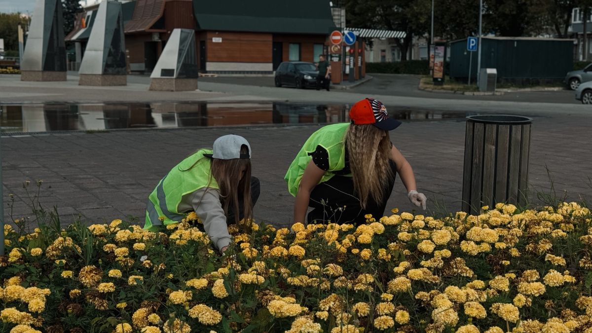 Летняя занятость подростков Летняя занятость подростков
