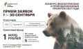 Прием заявок на гранты