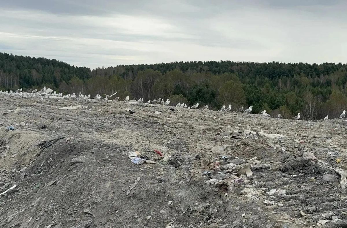 На полигонах Челябинской области оценили меры противопожарной безопасности На полигонах Челябинской области оценили меры противопожарной безопасности